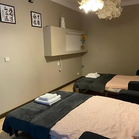 Apartament Grafitowy Willa Laser Sklářská Poruba Exteriér fotografie